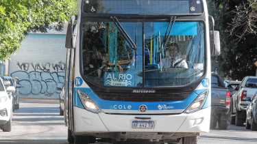 Neuquén reduce la flota de verano pero refuerza todas las líneas hacia el río y los balnearios