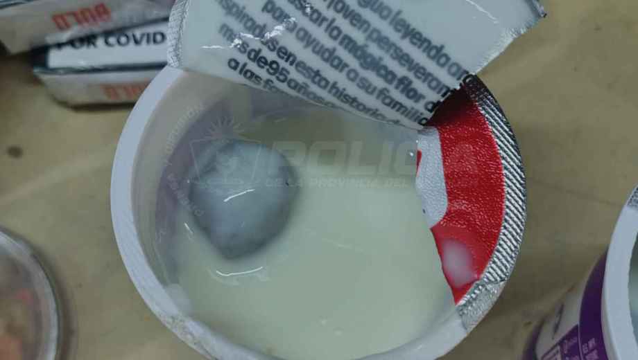 El hallazgo se produjo durante una inspección en el área de víveres. Foto: gentileza.