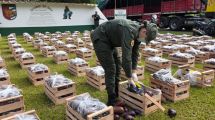Imagen de Berenjenas como camuflaje: intentaron pasar más de 31 kilos de cocaína en cajones de verdura