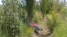 Imagen de En menos de 24 horas recuperaron una moto robada en Regina: estaba en una zona rural
