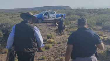 Deshidratado y en medio del campo: encontraron a un hombre de 71 años que se había perdido en Añelo