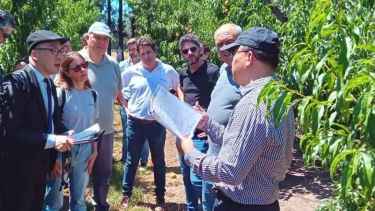 A un paso de China | Finalizó la inspección clave para exportar frutas de carozo: el recorrido en Río Negro y Neuquén