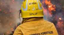 Imagen de Incendios en Río Negro: sin focos activos, pero con riesgo extremo en varias zonas