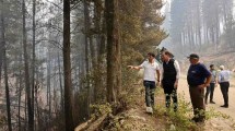 Imagen de Incendios en la Patagonia: el motivo por el que Diego Santilli reprogramó su visita a Chubut