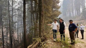 Incendios en la Patagonia: el motivo por el que Diego Santilli reprogramó su visita a Chubut