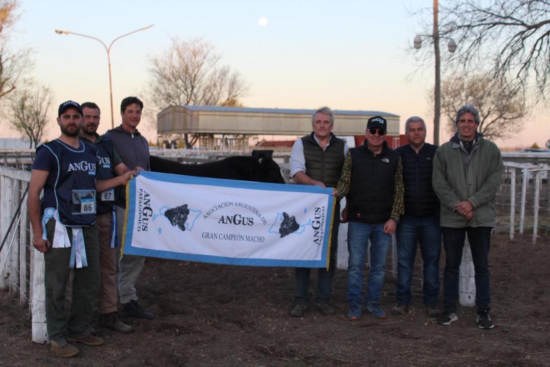 Del b&aacute;squet europeo al campo patag&oacute;nico: la apuesta ganadera de Federico Gilardi