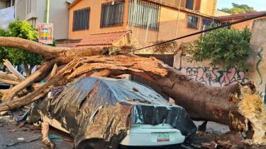 Sismo de 6,5 en México: reportan heridos, daños en edificios y la evacuación de la presidenta Sheinbaum