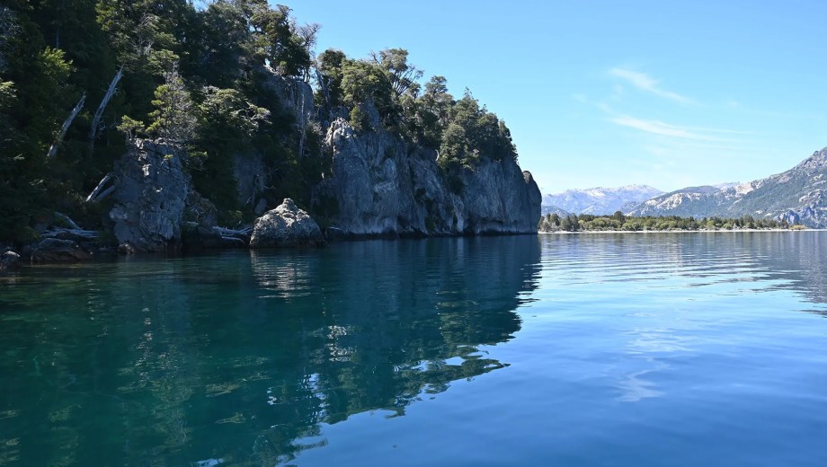 El bosque sumergido es una de las atracciones de la zona. Foto Florencia Salto.