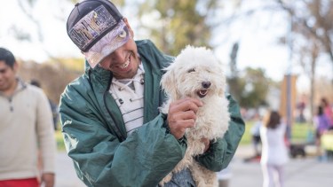 Se castraron 5048 animales no humanos durante 2025 en Roca: cómo continúa la actividad este año