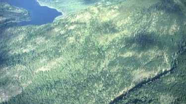 La historia del «guardián» del Pirque: defendió el bosque durante 50 años y hoy lo vio arder