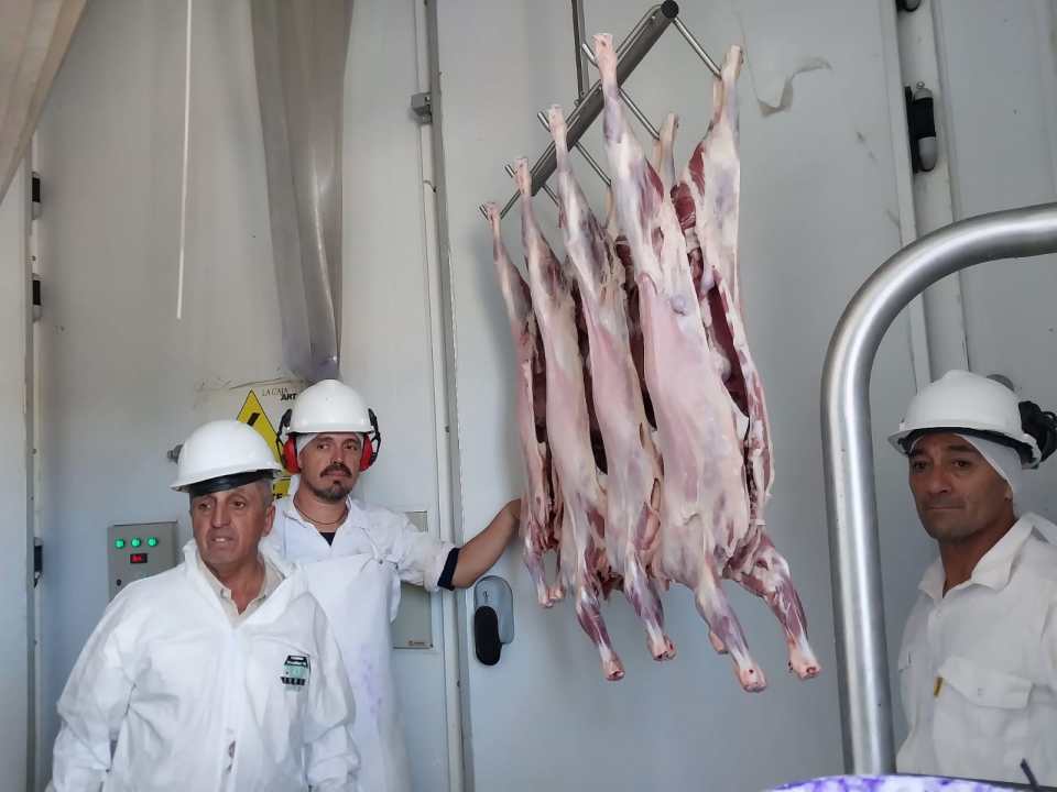 Ma&iacute;z de ciclo corto y m&aacute;s chivitos certificados: el norte neuquino busca romper su techo productivo