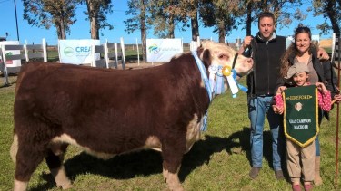 Junto a su familia trabaja un campo de 600 ha en secano y hoy tiene la mejor cabaña Hereford Puro de Pedigree de la Patagonia