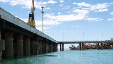 Se triplicó la cantidad de especies exóticas en Puerto Madryn y superó al puerto de San Antonio Este