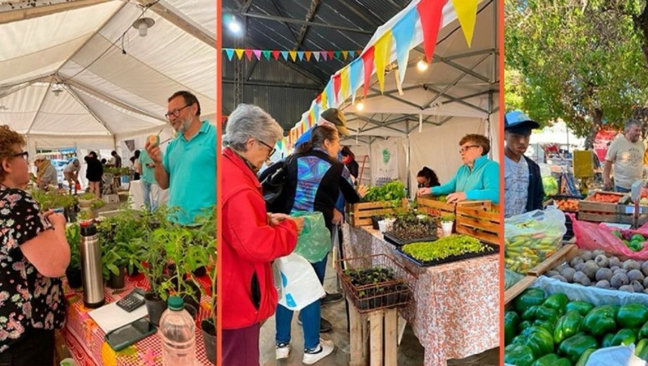 Lo mejor de la producción regional se reúne este fin de semana. Foto: gentileza.