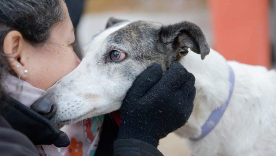 La actividad será el sábado. Foto: Gentileza. 