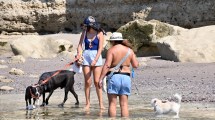 Imagen de «Nos da mucha paz»: La Rinconada, la playa pet friendly de Las Grutas elegida por quienes viajan con mascotas