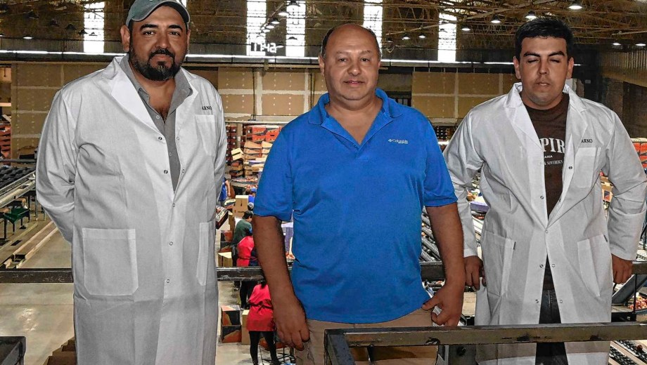 Daniel Arno (centro) junto a Cristhian y Ariel, los encargados de la planta y empaque. 