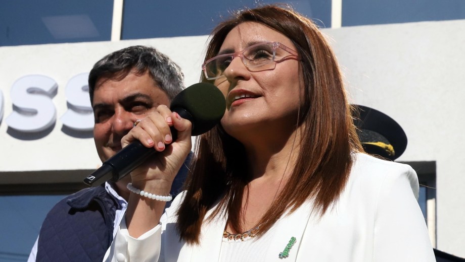 Ávila fue removida al frente de la obra social provincial. Foto: Marcelo Ochoa.