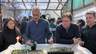 Los cambios de enero y el dispositivo intacto