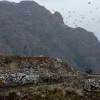 Imagen de Legisladores apuntan a Provincia por incumplimientos en el traslado del basural de Bariloche