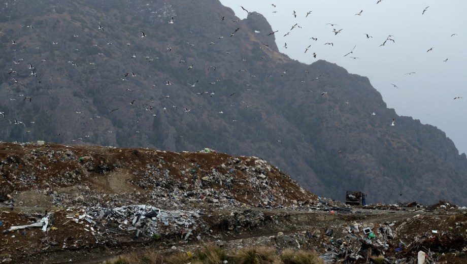 El basural de Bariloche recibe un promedio de 250.000 toneladas de residuos diarios. Foto: Archivo/Alfredo Leiva