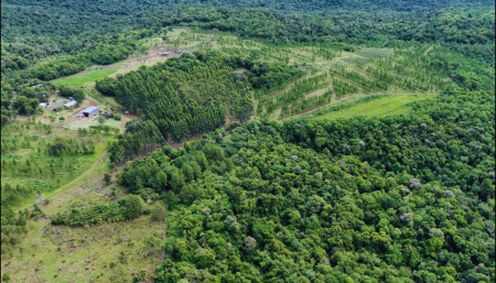 Esta innovación sitúa a la provincia de Misiones en una posición pionera dentro de la región, al avanzar hacia una agricultura más responsable con el clima. Foto gentileza.
