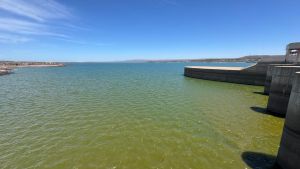 Un embalse de verde: El Chocón pedirá una «mesa científica» por la floración de cianobacterias