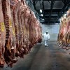 Imagen de La carne argentina mira el futuro con optimismo, aunque el desafío ahora es crecer con eficiencia