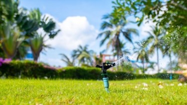 Cómo evitar que el césped se vuelva amarillo, los mejores consejos para poner en práctica