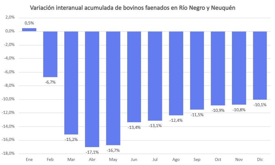 Variación interanual acumulada de faena de bovinos en Río Negro y Neuquén.