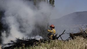Riesgo de incendios en Río Negro: el 2026  arrancó con un nuevo foco ígneo en Bariloche