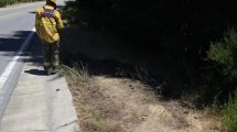Imagen de El Parque Nacional Nahuel Huapi denunció  incendios intencionales sobre la vera de la Ruta 40