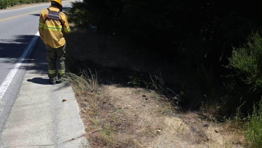 Foto: Gentileza Parque Nahuel Huapi. 