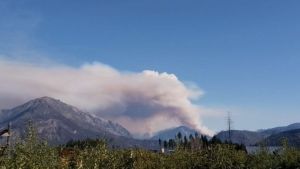 Se reactivaron varios focos de incendio en Puerto Patriada: el fuego sigue «contenido» pese a las condiciones adversas