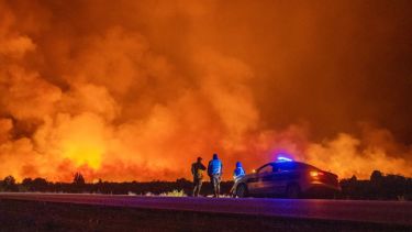 Incendio en Los Alerces: investigan posible responsabilidad de los funcionarios del parque nacional