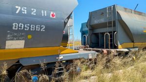 Un joven murió arrollado mientras intentaba cruzar entre los vagones de un tren en movimiento en La Pampa