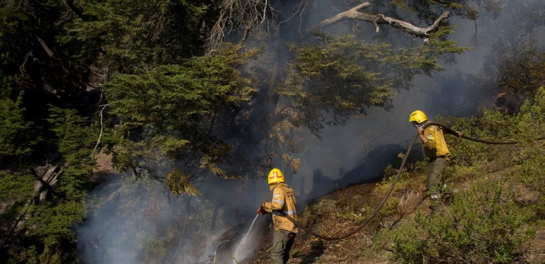 Se reactivaron varios focos de incendio en Puerto Patriada: el fuego sigue «contenido» pese a las condiciones adversas - Diario Río Negro