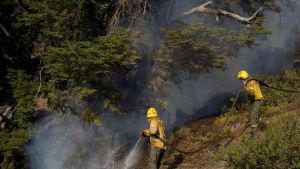 Riesgo de incendios en Río Negro: las condiciones meteorológicas son «desfavorables», adiverte el Splif