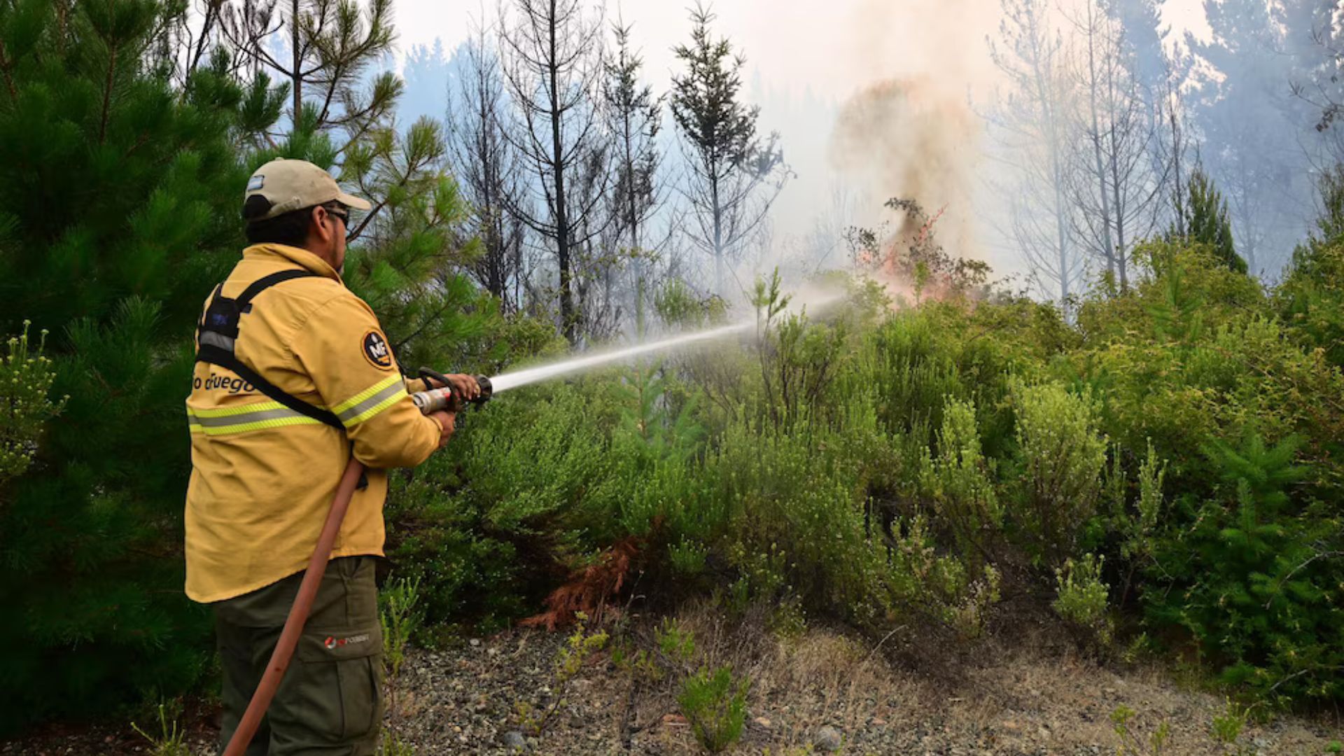 Lecciones de los incendios