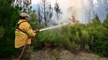 Lecciones de los incendios