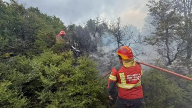 Cuando la Patagonia arde, las provincias sostienen