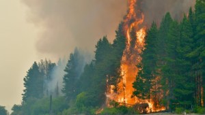 Diputados presentaron un proyecto para declarar la emergencia ígnea por los incendios en la Patagonia