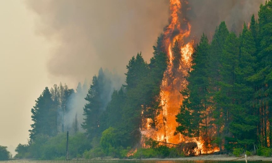 Despliegue de brigadistas y recursos para lograr extinguir los incendios en la Patagonia. Foto. Gentileza Gobierno de Chubut. 