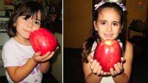 De las primeras vitrinas en Buenos Aires al tiempo de las frutas gigantes en el Valle