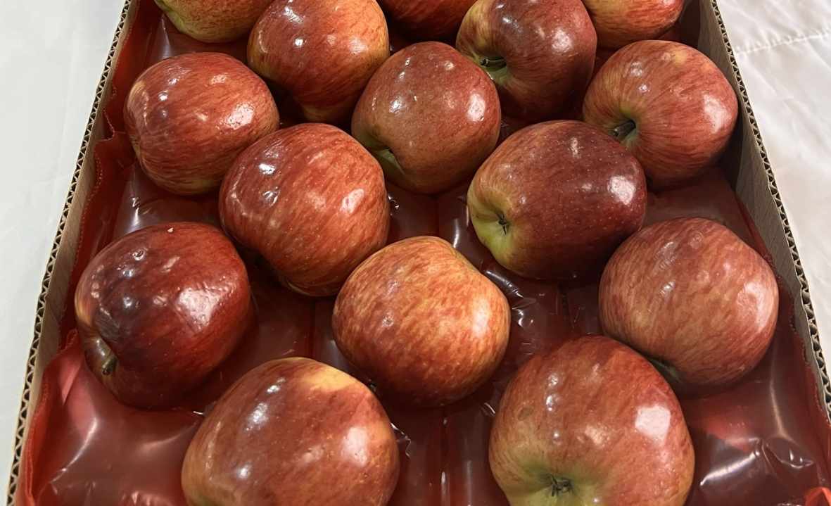 Manzanas acomodadas sobre una Moldup.