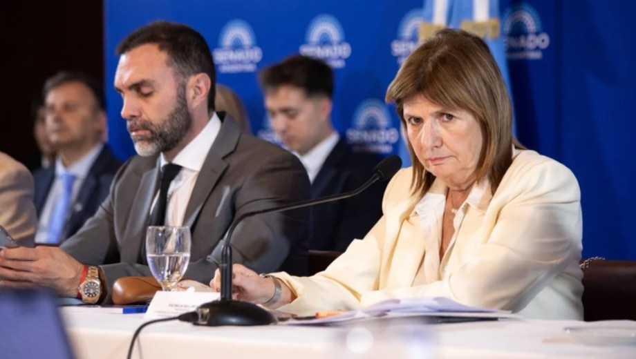 El Gobierno de Javier Milei prepara una intensa actividad en el Congreso. Foto: Gentileza NA.   