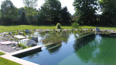 Adiós a las piletas clásicas: las piletas tipo laguna que son furor en jardines argentinos