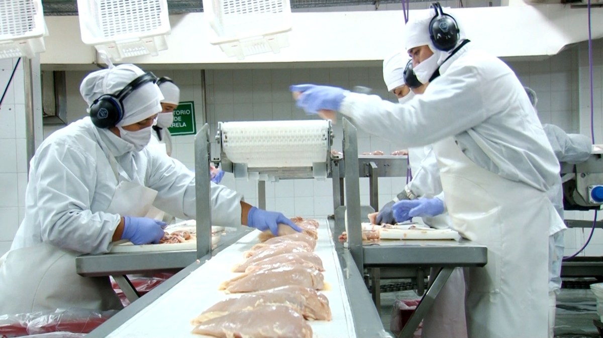 Planta de faena de Pollolín, en Cipolletti, Río Negro. Foto: gentileza Pollolín.