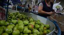 Imagen de Fruticultura: los precios de peras y manzanas del Alto Valle suben hasta un 87% en Buenos Aires