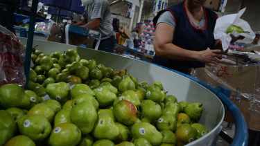 Fruticultura: los precios de peras y manzanas del Alto Valle suben hasta un 87% en Buenos Aires